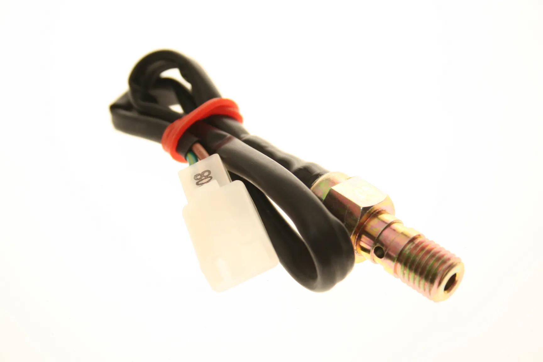 205602_205602_17012022201536-1