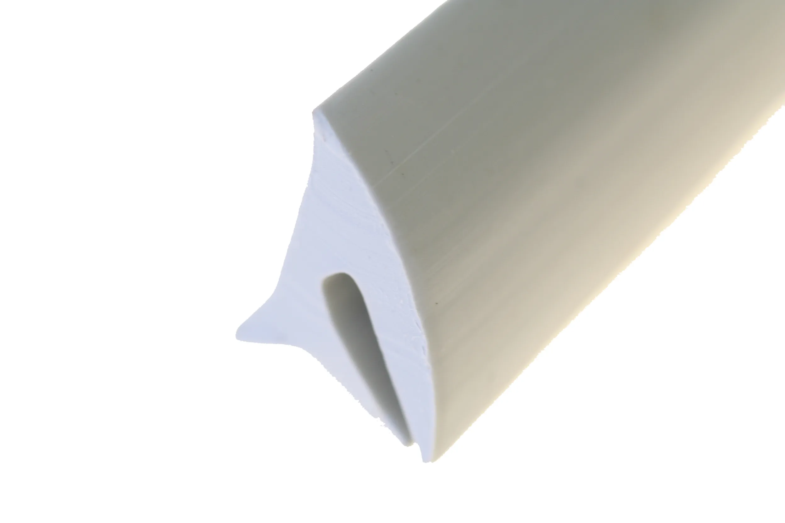 250021_250021_17012022171204-1