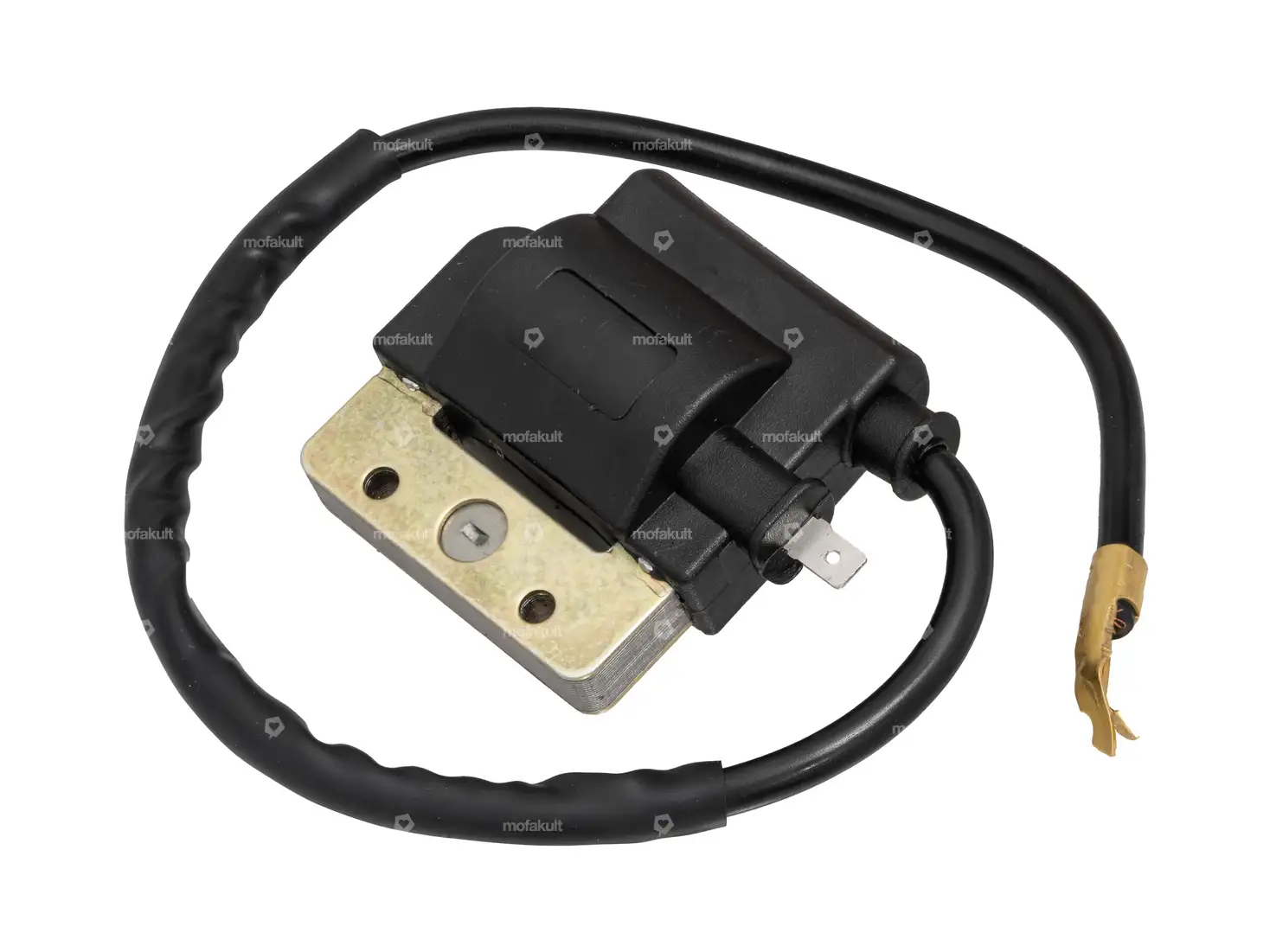 280598-ae469ec1985313378b857ea54408-1