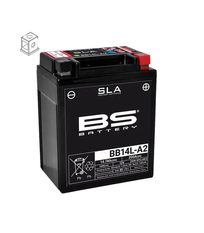 297-269-2-l-neu-jpg-1