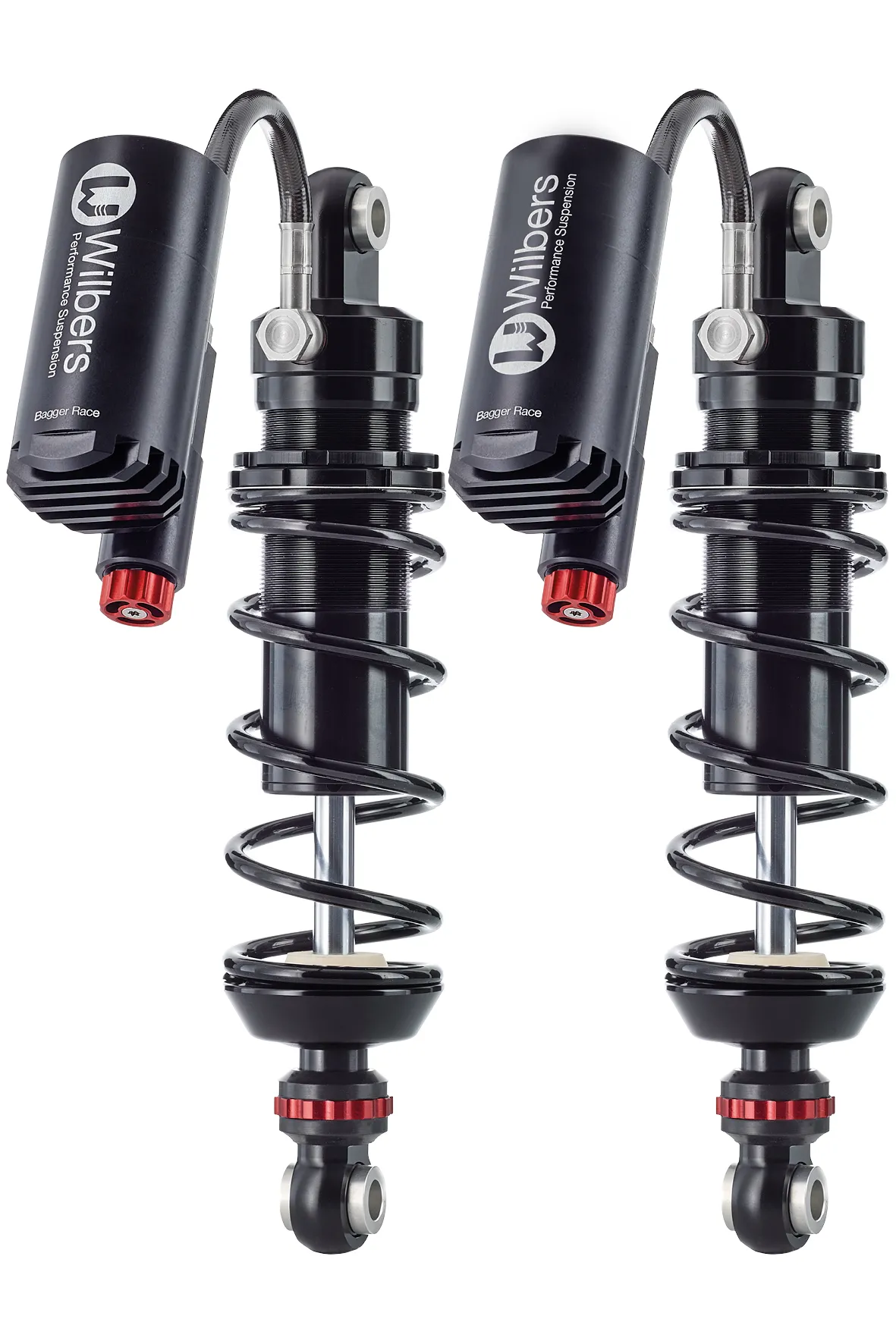 641-1219-0020202_331663-1