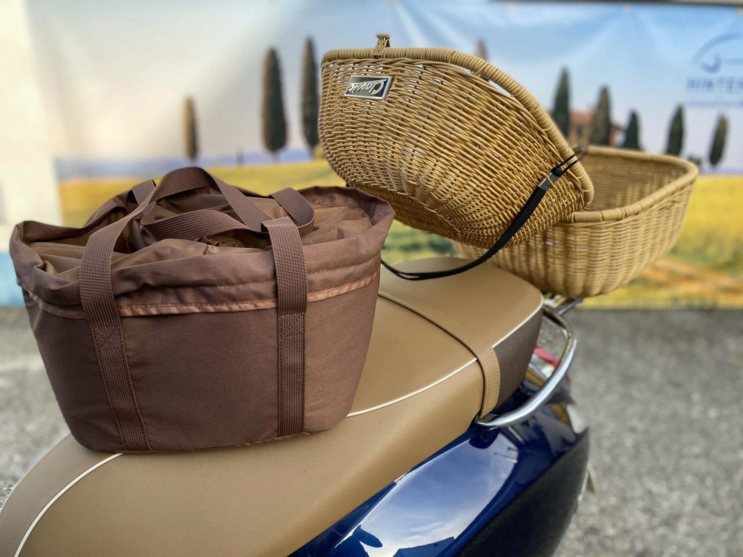 915355_915355_17122024210400-1