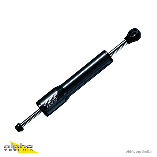 BI-A2003-SSWNB_43761-1