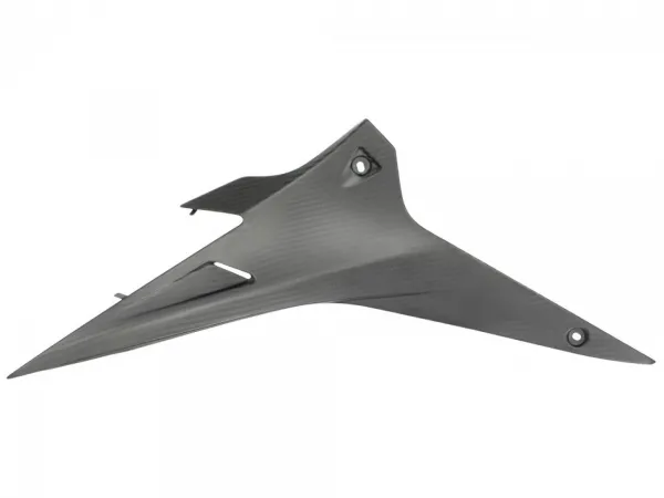 Tuono20V420Seitenverkleidung20links-1