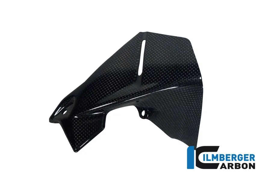 bmw-r1200gslc13-carbon-windabweiser-links-3_68006-1