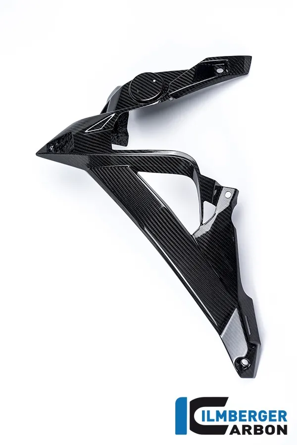 bmw_s1000r_carbon_wkl1_68067-1